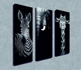 Репродукция из трех частей Зебра, слон и жираф цена и информация | Репродукции, картины | hansapost.ee