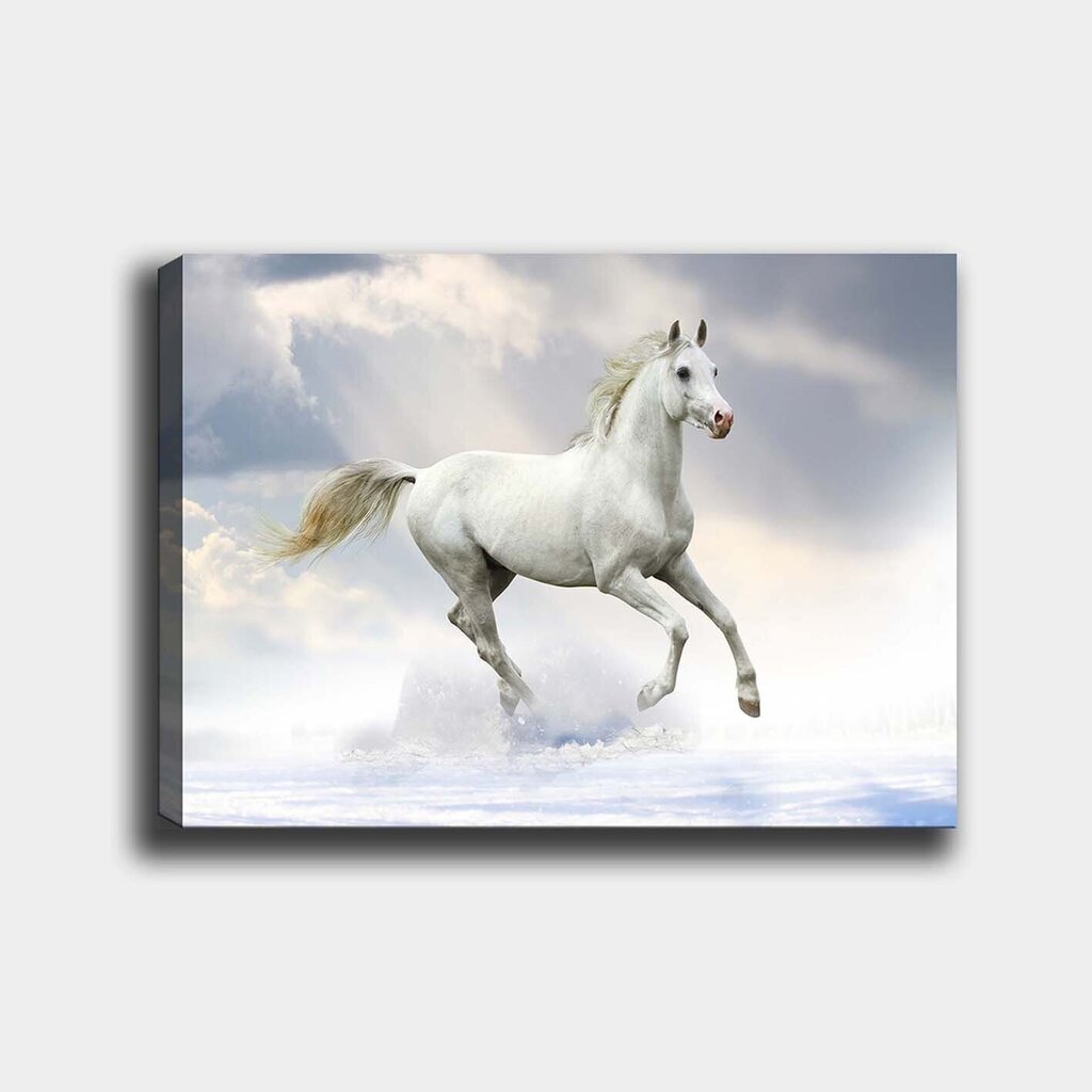 Reproduktsioon Valge hobune цена и информация | Seinapildid | hansapost.ee