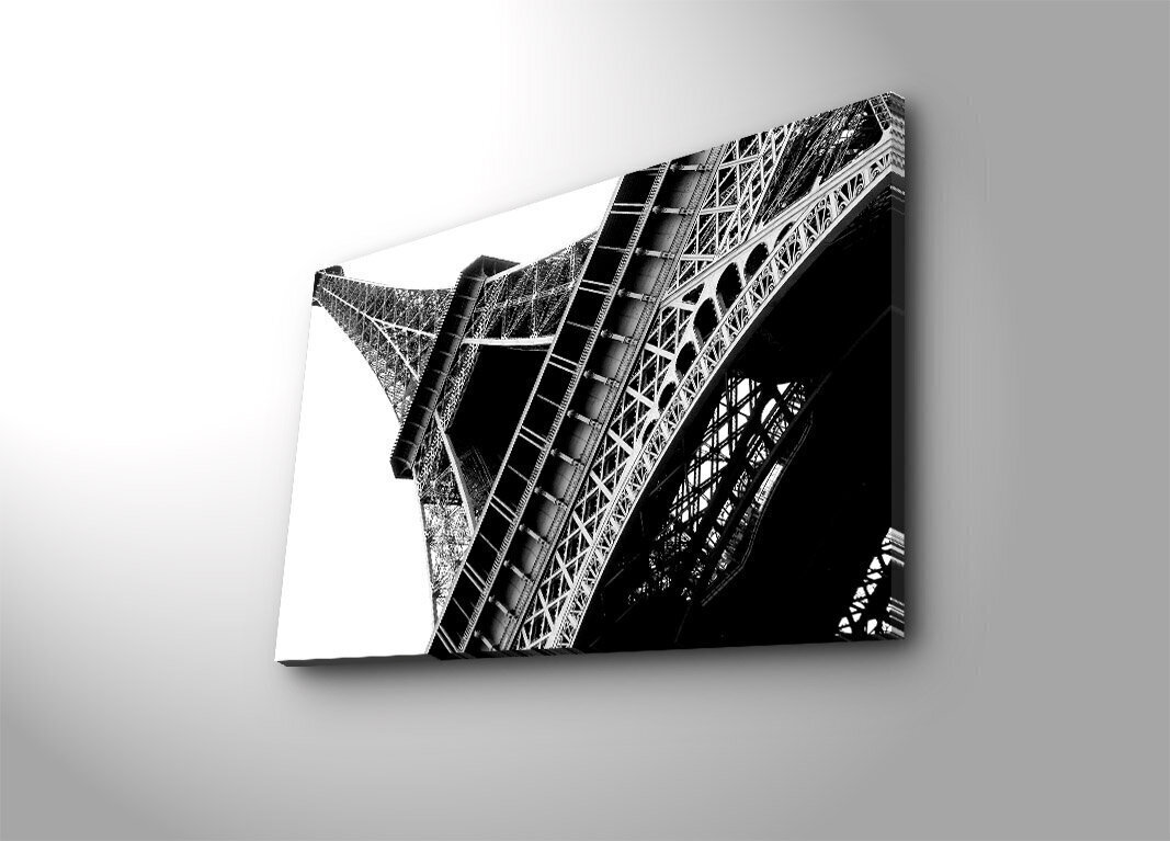 Reproduktsioon Eiffeli torn цена и информация | Seinapildid | hansapost.ee