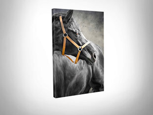 Репродукция Черная лошадь цена и информация | Репродукции, картины | hansapost.ee