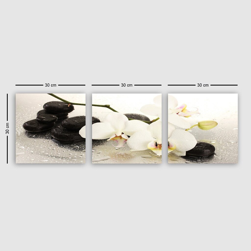 Kolmeosaline reproduktsioon Valge orhidee цена и информация | Seinapildid | hansapost.ee