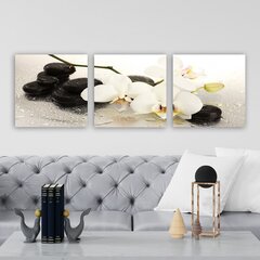 Репродукция из трех частей Белая орхидея цена и информация | Настенные деревянные декорации | hansapost.ee