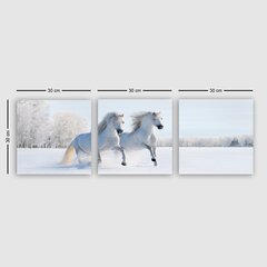 Репродукция из трех частей Белые лошади цена и информация | Настенные деревянные декорации | hansapost.ee