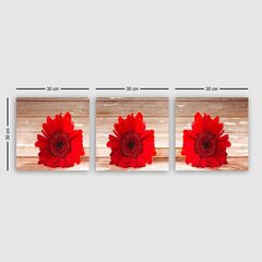 Kolmeosaline reproduktsioon Punased gerberad hind ja info | Seinapildid | hansapost.ee