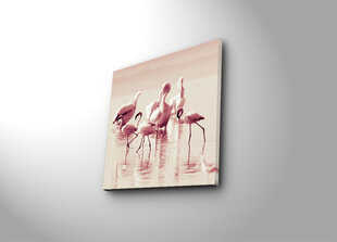 Reproduktsioon Flamingod hind ja info | Seinapildid | hansapost.ee