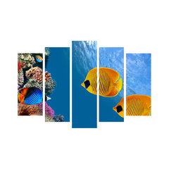 Репродукция из пяти частей Рыба цена и информация | Репродукции, картины | hansapost.ee