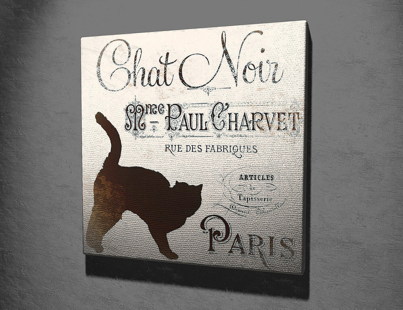 Reproduktsioon Chat Noir Paris цена и информация | Seinapildid | hansapost.ee