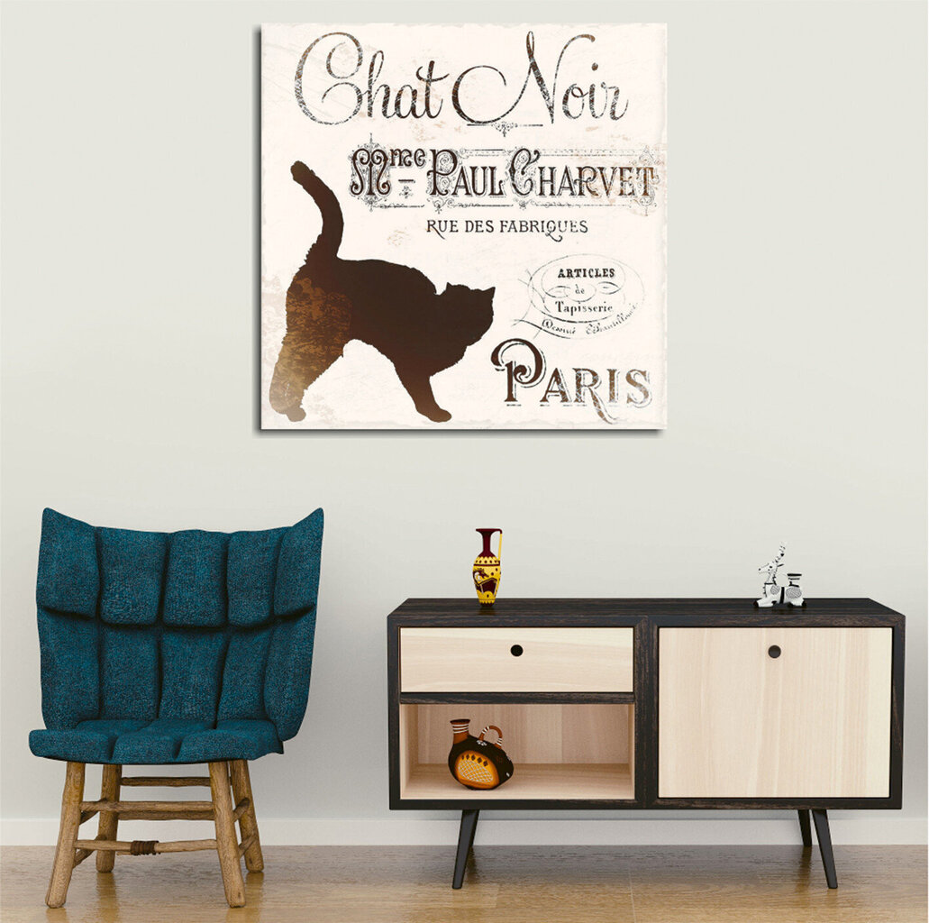 Reproduktsioon Chat Noir Paris цена и информация | Seinapildid | hansapost.ee