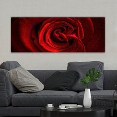 Репродукция Цветок розы цена и информация | Репродукции, картины | hansapost.ee