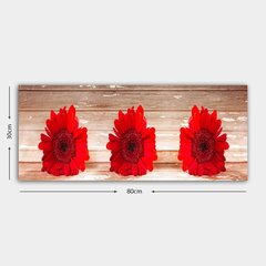 Репродукция Красные герберы цена и информация | Настенные деревянные декорации | hansapost.ee