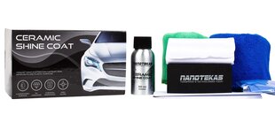 Nano средство для кузова NANO COAT SHINE, 50 мл цена и информация | Автохимия | hansapost.ee
