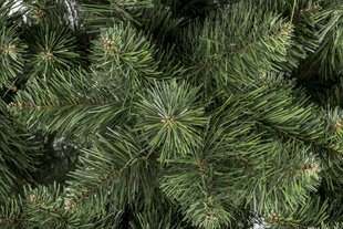 Рождественская елка Leila 2.9 см цена и информация | Новогодние елки | hansapost.ee