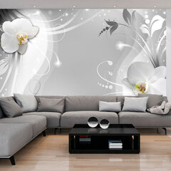 Fototapeet - Charming orchid цена и информация | Фотообои | hansapost.ee