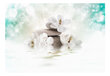 Fototapeet - Heavenly Peace hind ja info | Fototapeedid | hansapost.ee