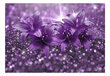 Fototapeet - Masterpiece of Purple hind ja info | Fototapeedid | hansapost.ee