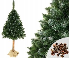Искусственная новогодняя елка Diamond 3D с натуральным стволом и шишками, 180 см цена и информация | Новогодние елки | hansapost.ee