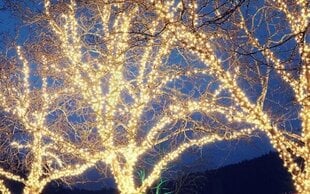 Päikesepatareiga valguskett 100LED, 10 m, soe valge hind ja info | Jõulutuled | hansapost.ee