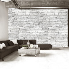 Fototapeet - White Brick цена и информация | Фотообои | hansapost.ee