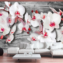 Fototapeet - Callous orchids hind ja info | Fototapeedid | hansapost.ee