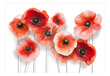 Fototapeet - Nine poppies цена и информация | Fototapeedid | hansapost.ee