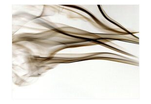 Fototapeet - smoke - abstract цена и информация | Фотообои | hansapost.ee