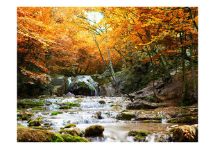 Fototapeet - autumn - waterfall hind ja info | Fototapeedid | hansapost.ee