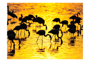 Fototapeet - Kenya: flamingos by the lake Nakuru цена и информация | Фотообои | hansapost.ee