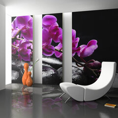 Fototapeet - Relaxing moment: orchid flower and stones hind ja info | Fototapeedid | hansapost.ee