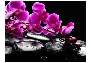 Fototapeet - Relaxing moment: orchid flower and stones hind ja info | Fototapeedid | hansapost.ee
