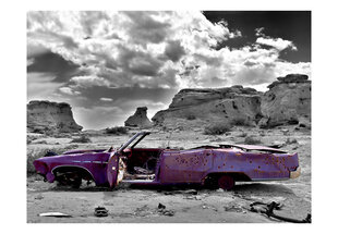 Fototapeet - Retro car on the Colorado Desert hind ja info | Fototapeedid | hansapost.ee