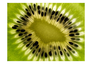 Fototapeet - fruits: kiwi цена и информация | Фотообои | hansapost.ee