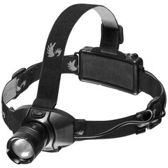 Falcon Eye 180lm pealamp FLASH price and information | Torches, headlamps and spotlights | hansapost.ee