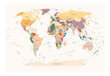 Fototapeet - World Map hind ja info | Fototapeedid | hansapost.ee