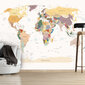 Fototapeet - World Map hind ja info | Fototapeedid | hansapost.ee