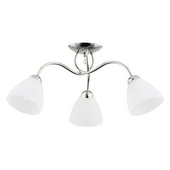 Лампа AMARILLO цена и информация | Потолочные светильники | hansapost.ee