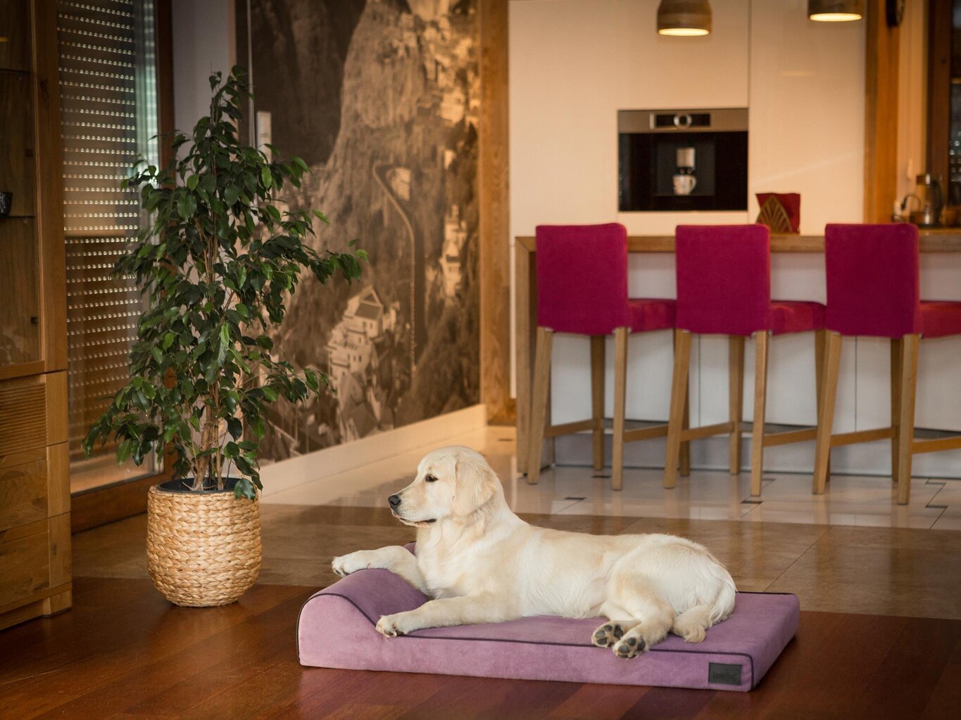 Hobbydog madrats lemmikloomale Fun Violet, M, 80x55 cm hind ja info | Pesad, asemed | hansapost.ee