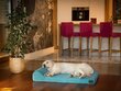 Hobbydog madrats lemmikloomale Fun Turquoise, M, 80x55 cm цена и информация | Pesad, asemed | hansapost.ee