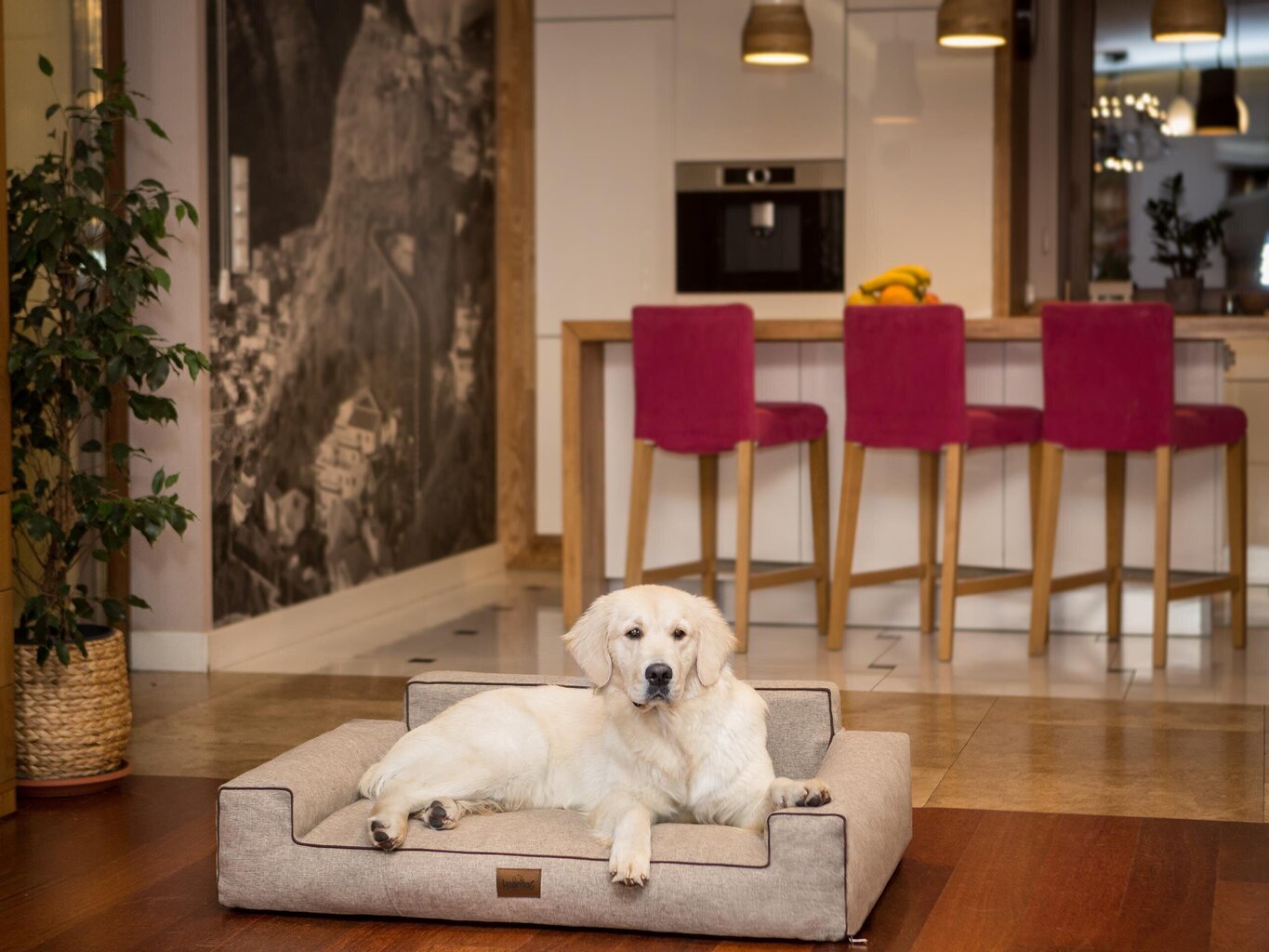 Hobbydog pesa Glamour New Cappuccino Inari, XL, 98x66 cm цена и информация | Pesad, asemed | hansapost.ee