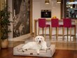Hobbydog pesa Glamour New Cappuccino Inari, XL, 98x66 cm цена и информация | Pesad, asemed | hansapost.ee