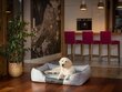 Hobbydog pesa Comfort Light Grey Ekolen, L, 65x50 cm цена и информация | Pesad, asemed | hansapost.ee