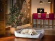 Hobbydog pesa Eco Light Grey Ekolen, L, 62x43 cm цена и информация | Pesad, asemed | hansapost.ee