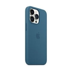 iPhone 13 Pro Силиконовый чехол с MagSafe, Blue Jay цена и информация | Чехлы для телефонов | hansapost.ee