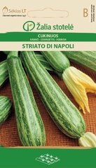Кабачки Striato di Napoli цена и информация | Семена овощей, ягод | hansapost.ee