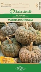 Kõrvitsaseemned Marina di Chioggia 1,5g hind ja info | Marja- ja köögiviljaseemned | hansapost.ee