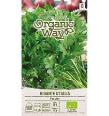 Peterselli lehed Gigante D'italia Organic Way 2,0 G hind ja info | Marja- ja köögiviljaseemned | hansapost.ee