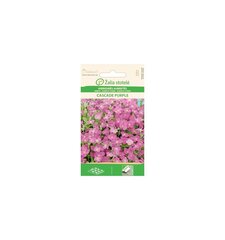 Hübriid Aubrieta Cascade Purple hind ja info | Lilleseemned | hansapost.ee