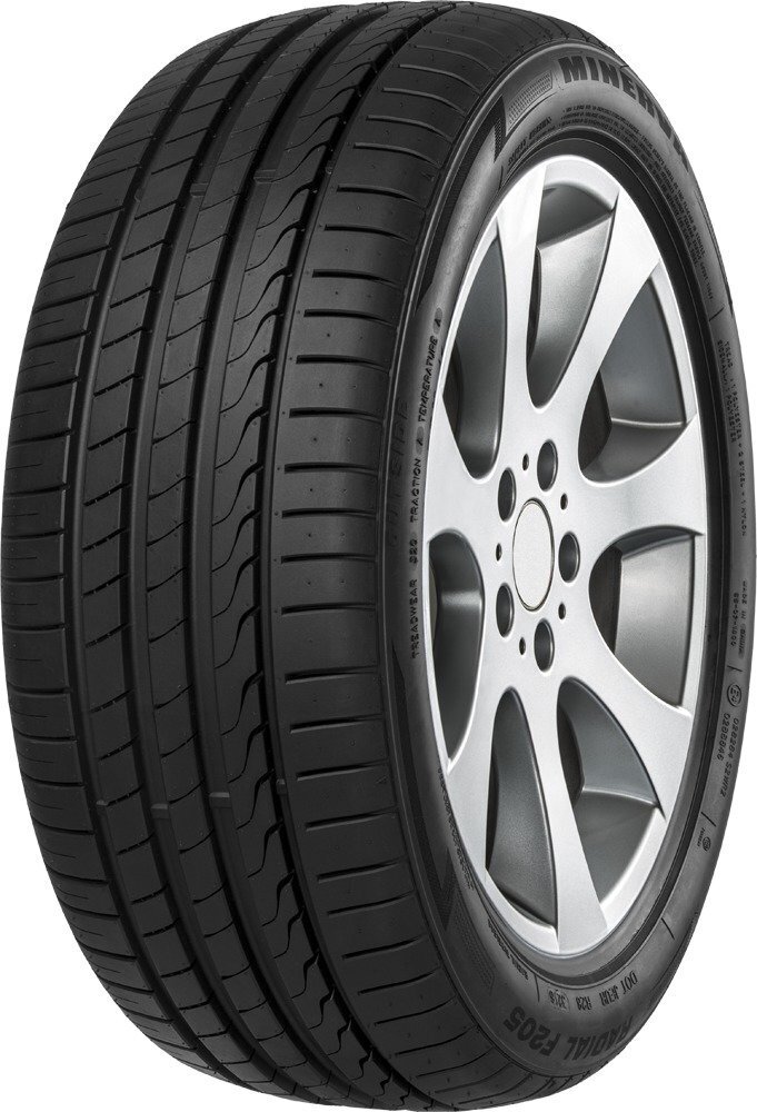 Minerva F205 235/45R18 98 Y XL hind ja info | Suverehvid | hansapost.ee