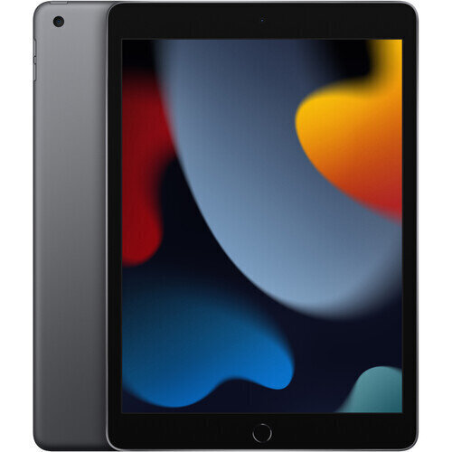Apple iPad 10.2" Wi-Fi 256GB - Space Grey 9th Gen MK2N3HC/A цена и информация | Tahvelarvutid | hansapost.ee