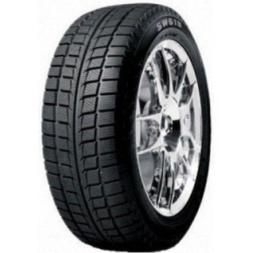 Goodride SW618 215/50R17 95 H XL цена и информация | Talverehvid | hansapost.ee