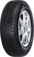 Nexen WG Snow G3 WH21 195/65R15 91T цена и информация | Зимняя резина | hansapost.ee